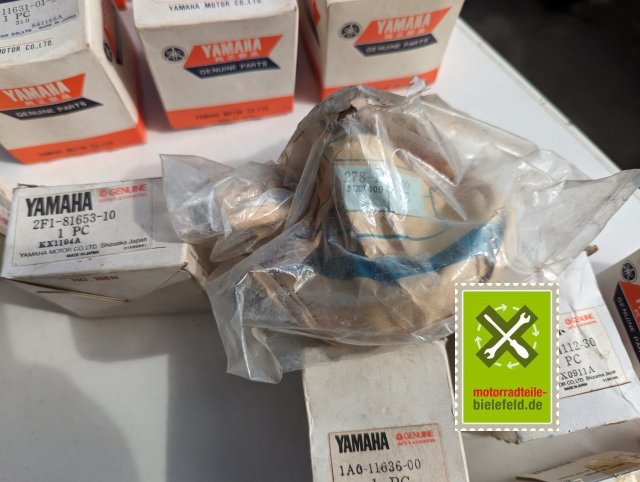 PXL_20240527_145528643